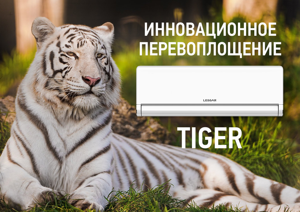 kpo-news-tiger-new-2022.jpg